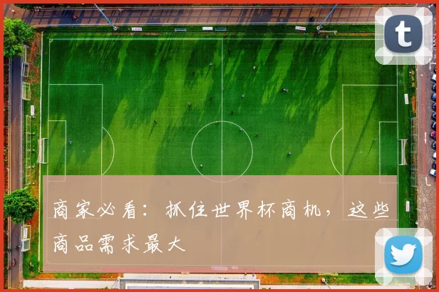 商家必看：抓住世界杯商机，这些商品需求最大