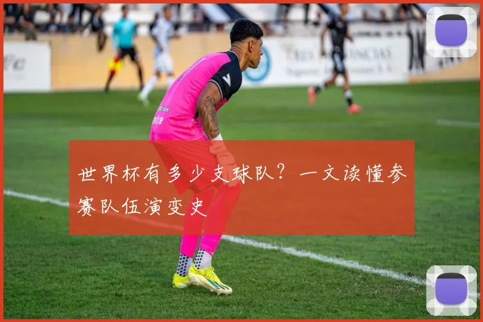 世界杯有多少支球队？一文读懂参赛队伍演变史